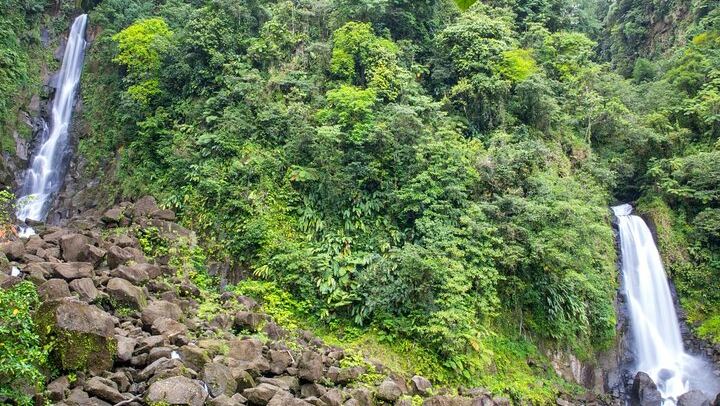 Dominica Waterfalls and Spa Day: Ti Tou Gorge, Trafalgar Falls, Entry Fees (2/12)