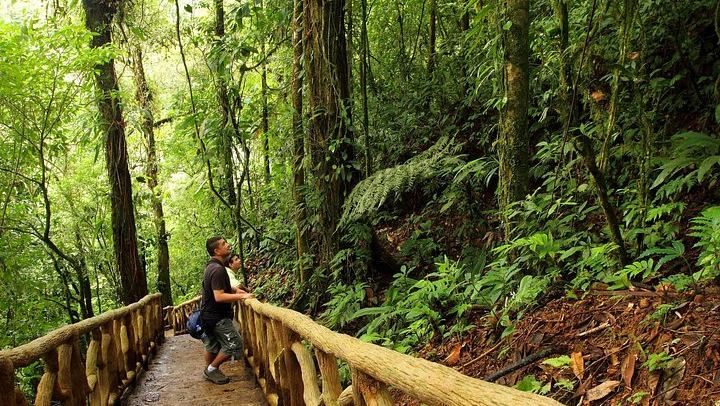 Tenorio Volcano National Park Hike to the Turquoise Rio Celeste Blue River (4/8)