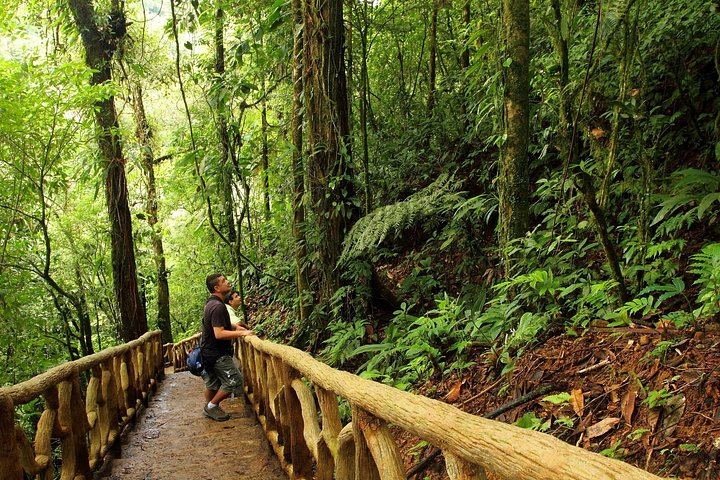Tenorio Volcano National Park Hike to the Turquoise Rio Celeste Blue River (4/8)