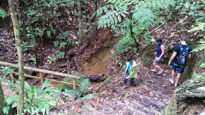 Middleham Falls Hike and Ti'tou Gorge Swim: Half-Day from Roseau with Pickup (1/6)