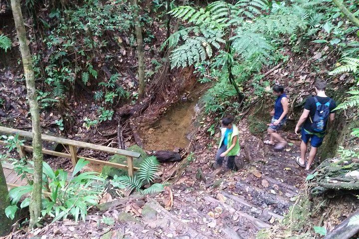 Middleham Falls Hike and Ti'tou Gorge Swim: Half-Day from Roseau with Pickup (1/6)