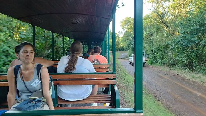 Iguazu Falls Tour with Private Transport and a Tourism-Trained Guide, Argentina and Brazil (2/12)