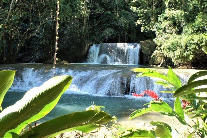 YS Falls, Buffet Lunch and Black River Safari from Montego Bay or Grand Palladium (8/12)