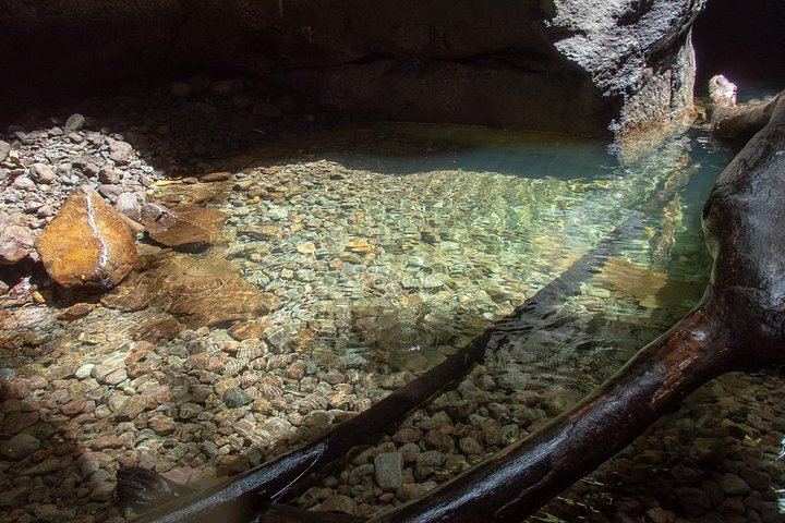 Small-Group Canyoning in Dominica with a Qualified Guide, Beginners to Athletes (11/12)
