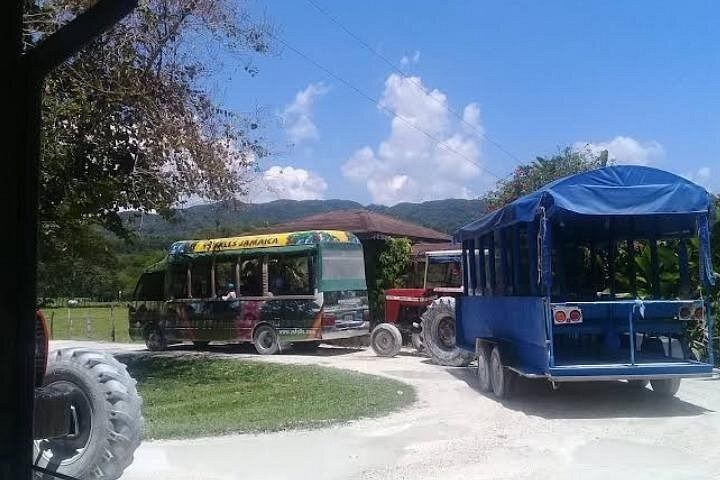 Private Six-Hour YS Falls Visit from Montego Bay with Hotel or Cruise Port Pickup (7/9)