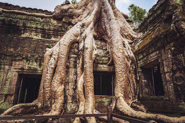Angkor & Kulen Multi-Day Tours