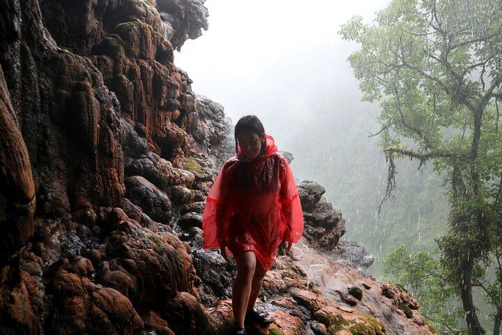 Three-Day Tumpak Sewu, Bromo and Ijen Blue Fire Tour with Smartway from Malang (7/12)