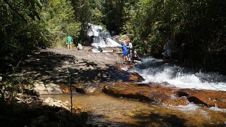 Twin Beans Farm Trek: Hidden Waterfall and Sturgeon Farm with Seven Dog Guides (3/8)