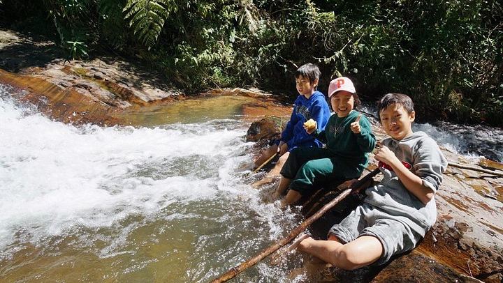 Twin Beans Farm Trek: Hidden Waterfall and Sturgeon Farm with Seven Dog Guides (4/8)