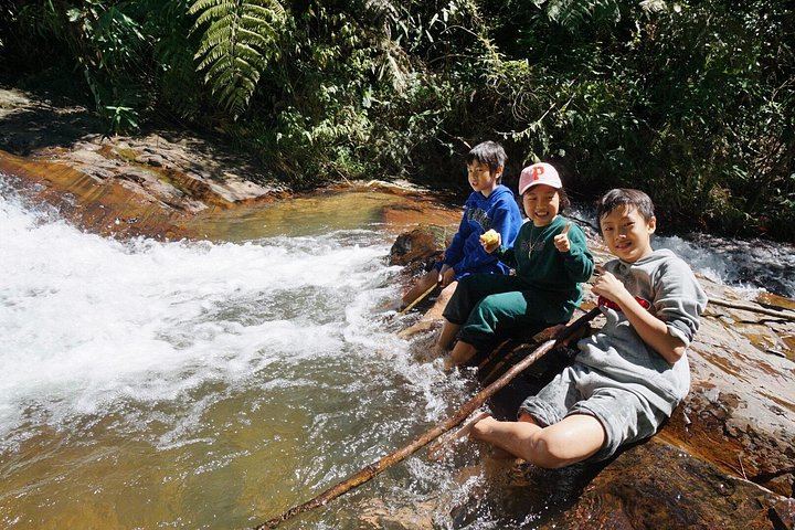 Twin Beans Farm Trek: Hidden Waterfall and Sturgeon Farm with Seven Dog Guides (4/8)