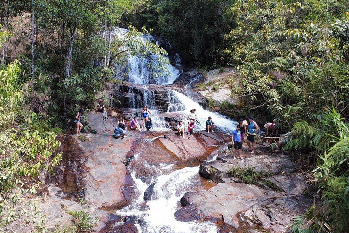 Twin Beans Farm Trek: Hidden Waterfall and Sturgeon Farm with Seven Dog Guides (2/8)