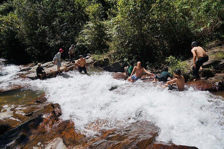 Twin Beans Farm Trek: Hidden Waterfall and Sturgeon Farm with Seven Dog Guides (6/8)