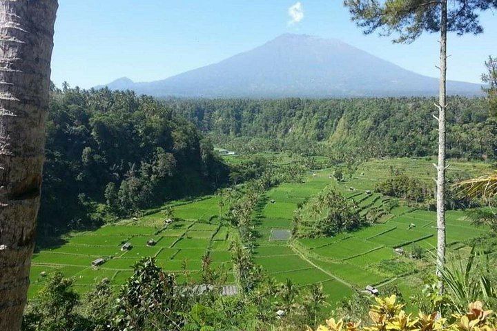 East Bali Private Day Tour: Tukad Cepung, Besakih, Tirta Gangga, Lempuyang (9/12)