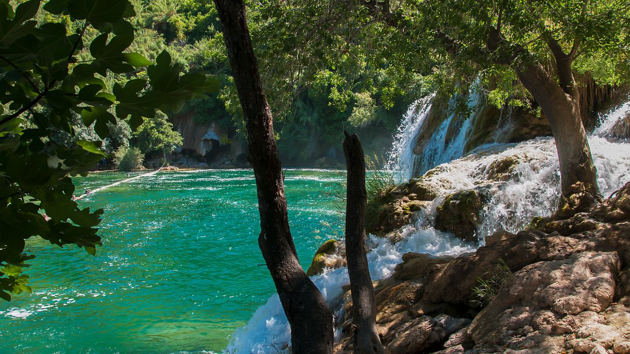 Turquoise pool below small cascades in a forest, with tree trunks in the foreground