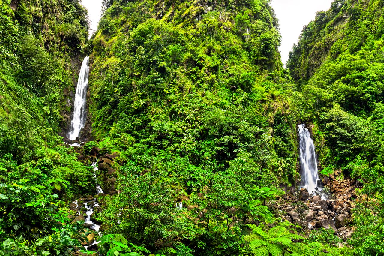 Twin Trafalgar Falls in Dominica dropping from green forested cliffs, with ferns in the foreground