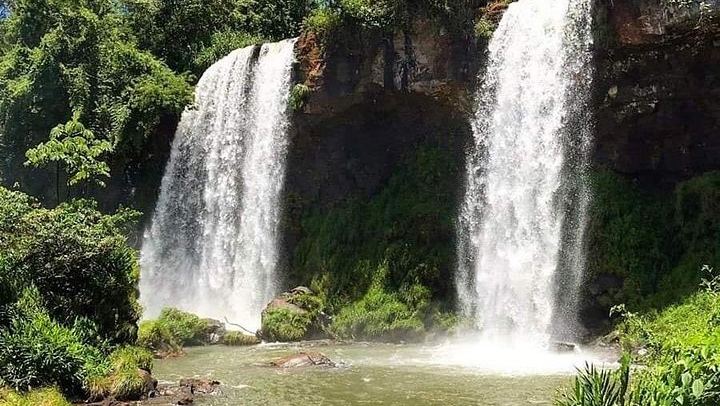 Iguazu Falls Argentine Side with Accredited Guide and Private Transport (2/7)