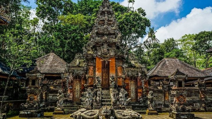 Ubud Private Tour with Monkey Forest, Tirta Empul and Tegenungan Waterfall (2/12)