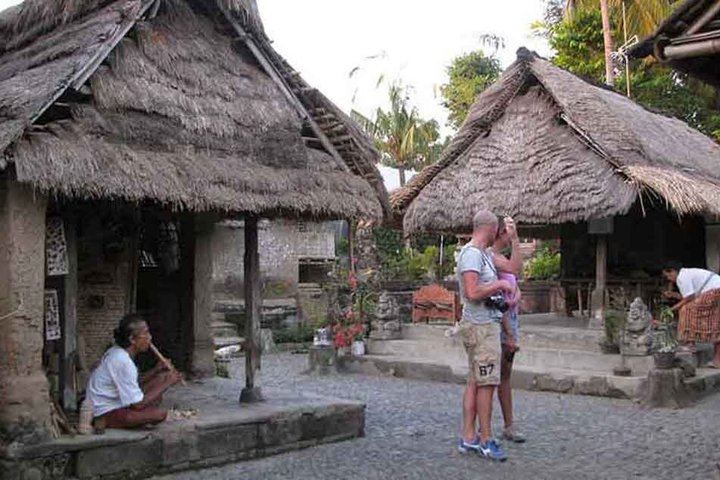 Ubud Private Tour with Monkey Forest, Tirta Empul and Tegenungan Waterfall (1/12)