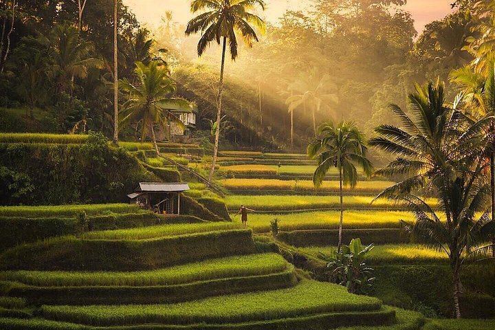 Ubud Secret Waterfalls Private Tour: Kanto Lampo, Tibumana, Tukad Cepung, Swing (9/10)