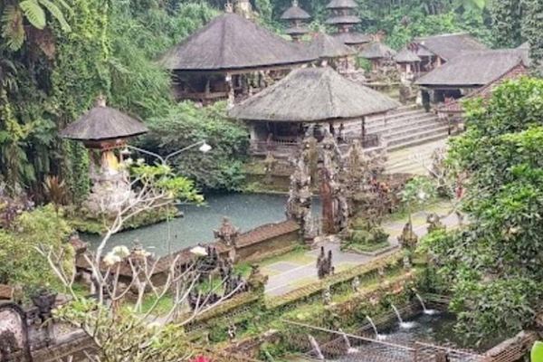 Ubud Charter Tour: Tegenungan Waterfall, Gunung Kawi Sebatu, Monkey Forest, Swing