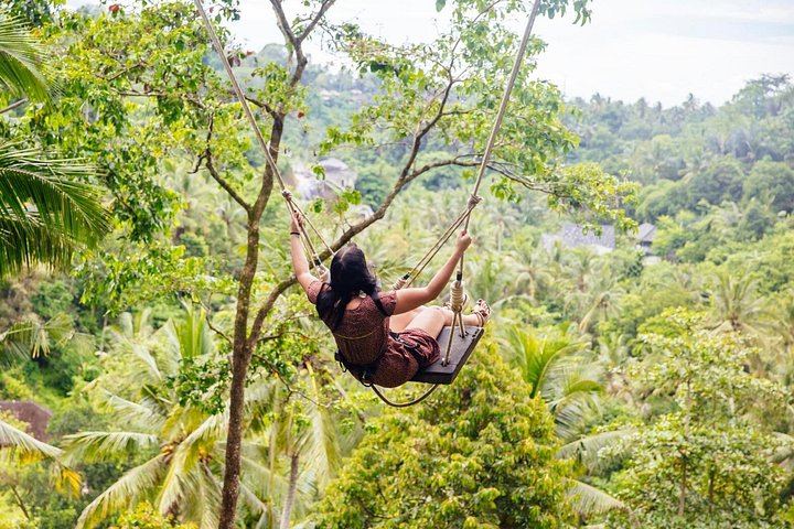 Ubud Charter Tour: Tegenungan Waterfall, Gunung Kawi Sebatu, Monkey Forest, Swing (12/12)
