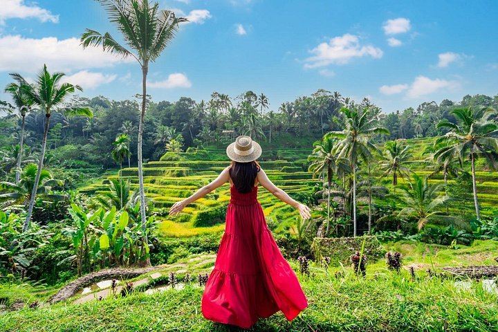 Ubud Charter Tour: Tegenungan Waterfall, Gunung Kawi Sebatu, Monkey Forest, Swing (10/12)