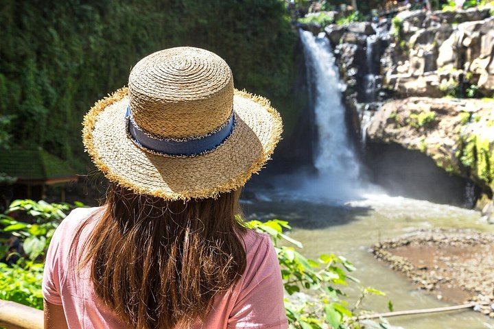 Ubud Charter Tour: Tegenungan Waterfall, Gunung Kawi Sebatu, Monkey Forest, Swing (3/12)