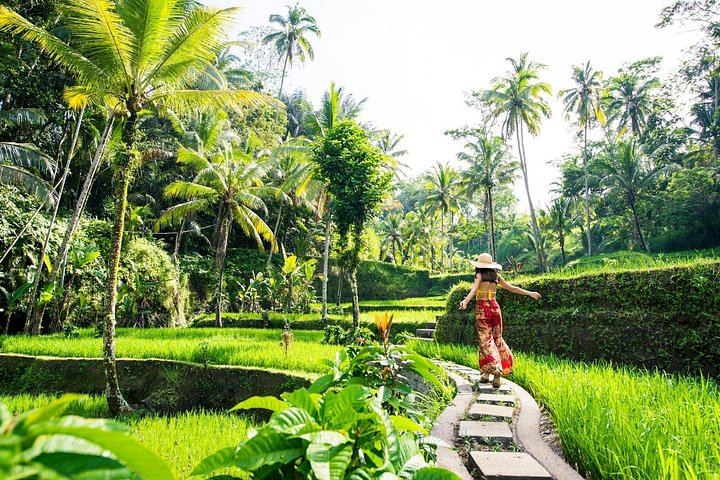 Ubud Charter Tour: Tegenungan Waterfall, Gunung Kawi Sebatu, Monkey Forest, Swing (11/12)