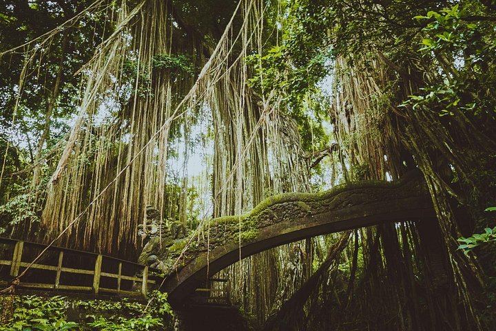 Ubud Charter Tour: Tegenungan Waterfall, Gunung Kawi Sebatu, Monkey Forest, Swing (6/12)