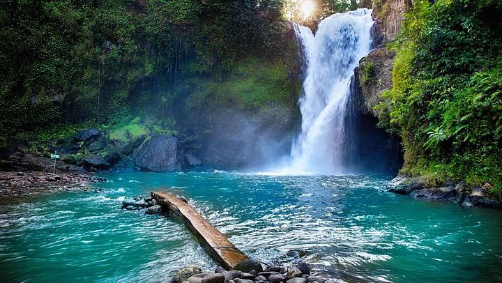 Ubud Six-Hour Trip: Tegenungan Waterfall, Tegalalang Terraces, Swing and Coffee (1/10)
