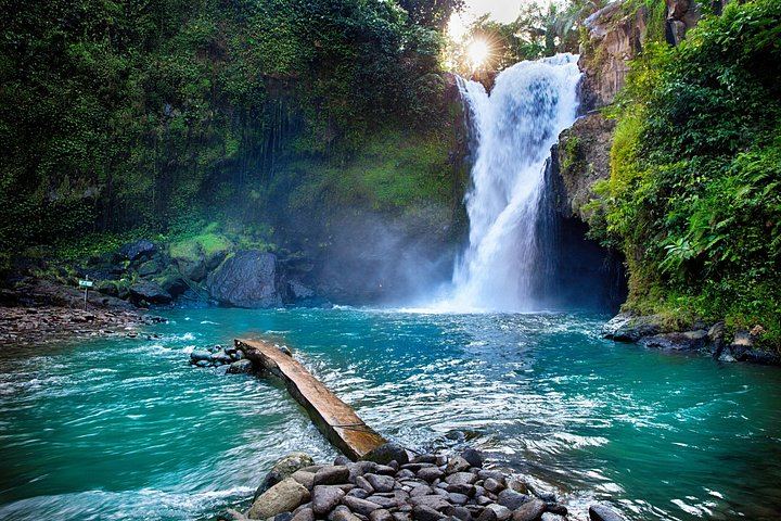Ubud Six-Hour Trip: Tegenungan Waterfall, Tegalalang Terraces, Swing and Coffee (1/10)