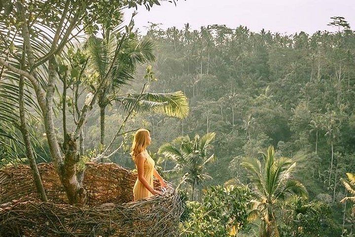 Ubud Six-Hour Trip: Tegenungan Waterfall, Tegalalang Terraces, Swing and Coffee (9/10)