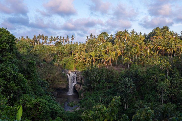 Ubud Six-Hour Trip: Tegenungan Waterfall, Tegalalang Terraces, Swing and Coffee (5/10)