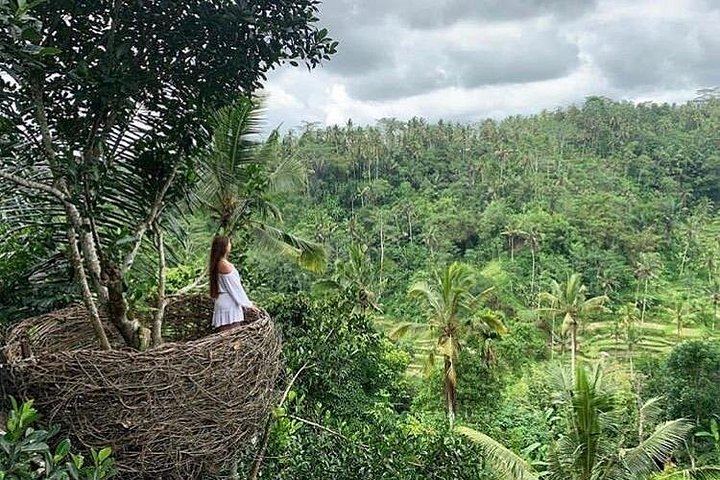 Ubud Six-Hour Trip: Tegenungan Waterfall, Tegalalang Terraces, Swing and Coffee (7/10)
