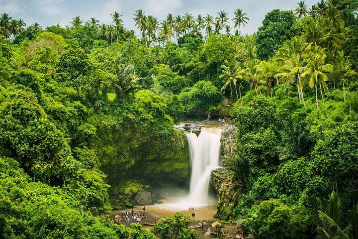 Ubud Six-Hour Trip: Tegenungan Waterfall, Tegalalang Terraces, Swing and Coffee (6/10)
