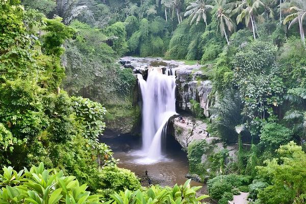 Private Half-Day Ubud Tour: Tegenungan, Tegalalang, Ubud Palace and Batuan Temple
