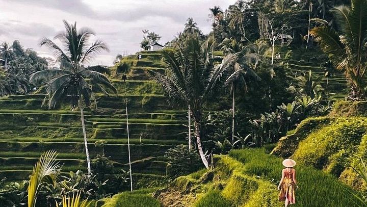 Ubud Private Tour: Kanto Lampo, Tibumana and Tukad Cepung Waterfalls with Swing (3/12)