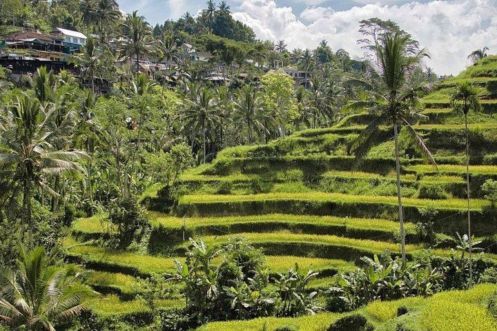 Ubud Private Tour: Kanto Lampo, Tibumana and Tukad Cepung Waterfalls with Swing (11/12)