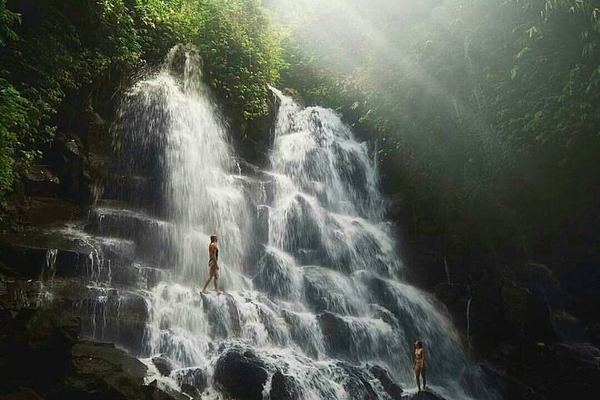 Ubud Guided Day with Hotel Pickup: Waterfalls, Holy Spring Temple, Aloha Swing