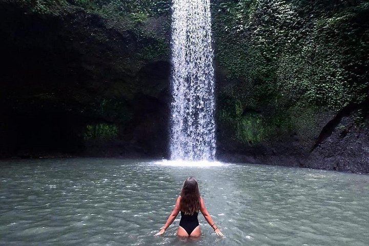 Ubud Guided Day with Hotel Pickup: Waterfalls, Holy Spring Temple, Aloha Swing (2/7)