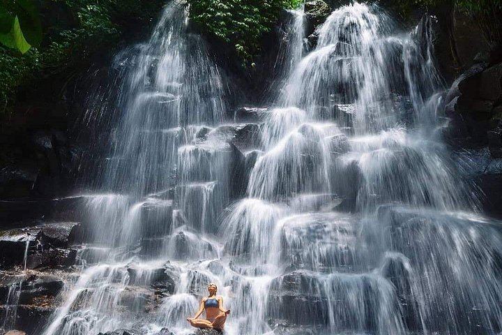 Ubud Guided Day with Hotel Pickup: Waterfalls, Holy Spring Temple, Aloha Swing (3/7)