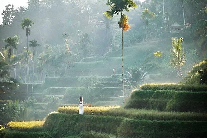 Private Ubud Day: Tibumana, Ulu Petanu, Kanto Lampo, Tegalalang Terraces and Swing (12/12)