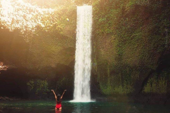 Ubud Guided Day with Hotel Pickup: Waterfalls, Holy Spring Temple, Aloha Swing (1/7)