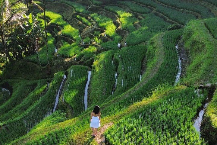 Ubud Full Day Tour: Kanto Lampo, Tibumana, Tirta Empul and Tegallalang (2/4)