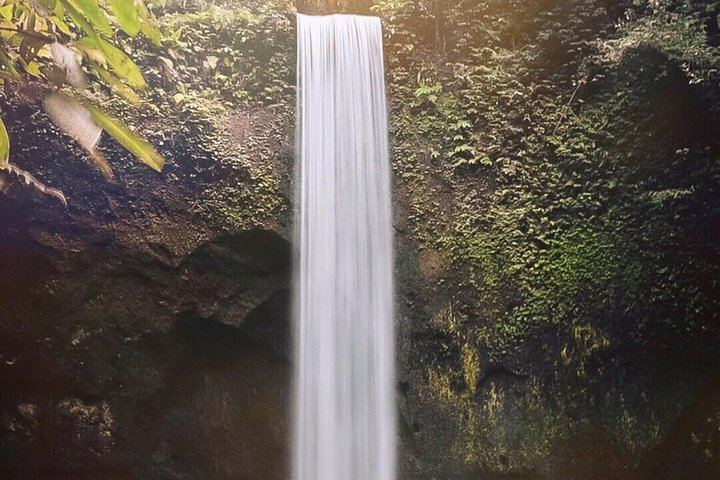 Ubud Private Tour: Kanto Lampo, Tibumana, Tirta Empul and Aloha Jungle Swing (8/12)