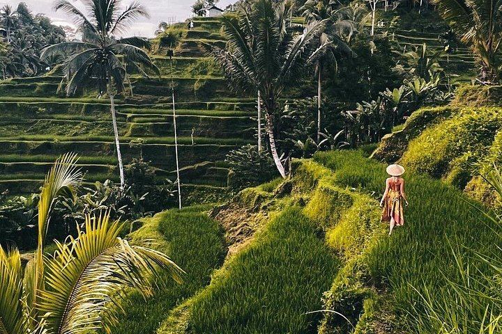 Ubud Private Tour: Kanto Lampo, Tibumana, Tirta Empul and Aloha Jungle Swing (12/12)