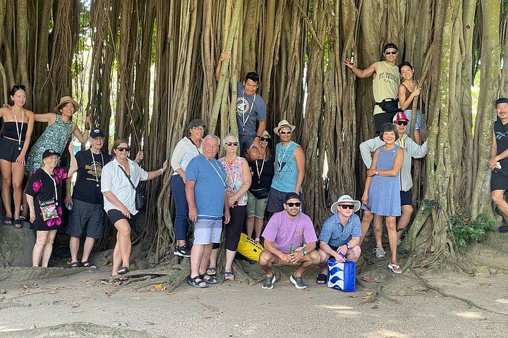Dominica Waterfalls and Spa Day: Ti Tou Gorge, Trafalgar Falls, Entry Fees (9/12)