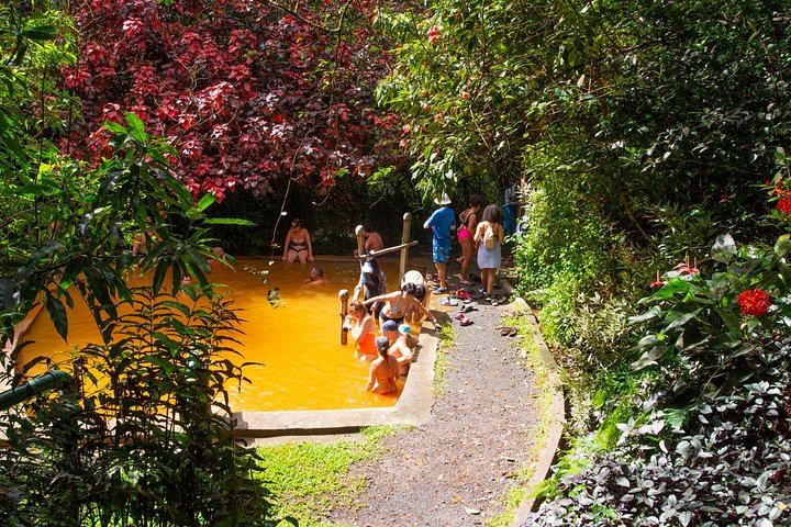 Dominica Waterfalls and Spa Day: Ti Tou Gorge, Trafalgar Falls, Entry Fees (12/12)