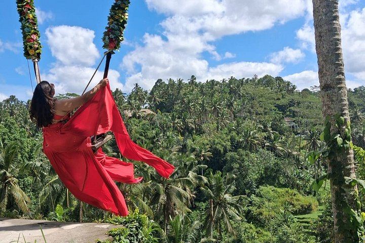 Private Ubud Tour: Ulu Petanu Waterfall, Tirta Empul, Monkey Forest and Swing (8/12)