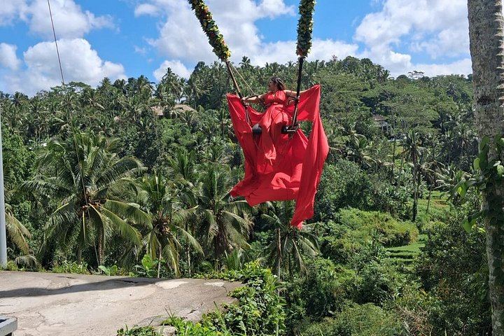 Private Ubud Tour: Ulu Petanu Waterfall, Tirta Empul, Monkey Forest and Swing (9/12)
